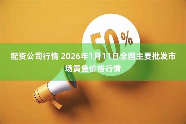 配资公司行情 2026年1月11日全国主要批发市场黄鱼价格行情